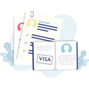 Professional Visa Consultation