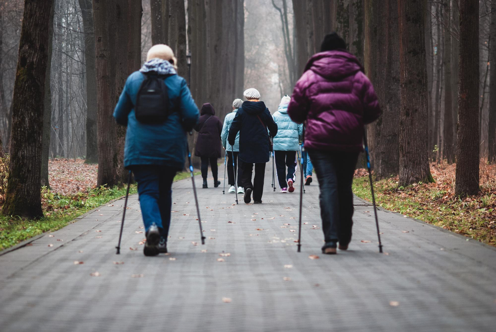 Creating Leaps and Bounds: Nordic Walking in Germany - Booka Local